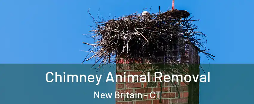  Chimney Animal Removal New Britain - CT