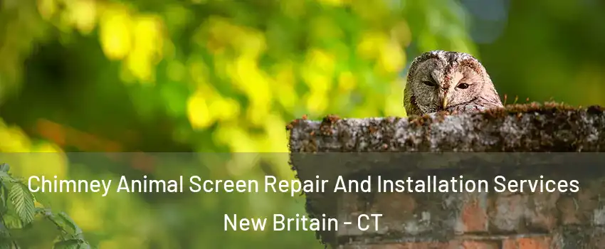  Chimney Animal Screen Repair And Installation Services New Britain - CT