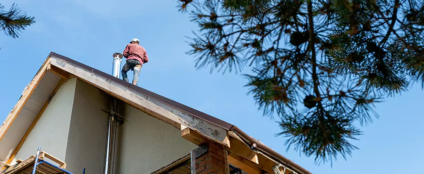 Birds Removal Contractors from Chimney in New Britain, CT