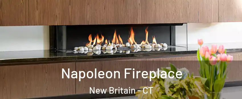  Napoleon Fireplace New Britain - CT